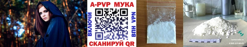Alfa_PVP СК Прокопьевск