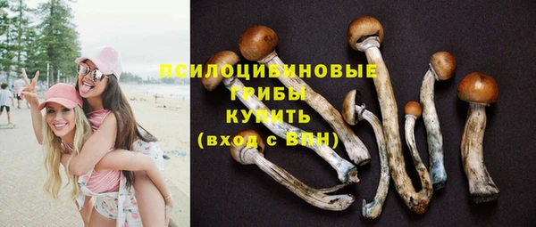 ПСИЛОЦИБИНОВЫЕ ГРИБЫ Абдулино
